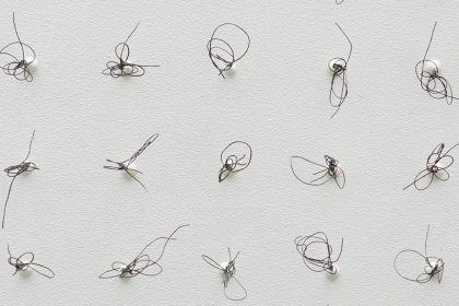 Terminal Loops. No.4 (Black) - Steve McPherson