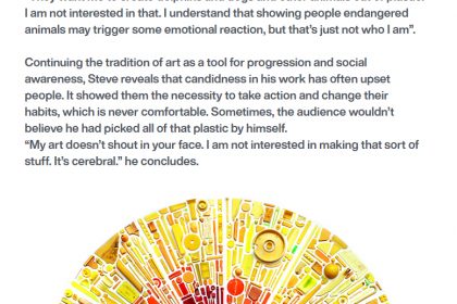Seeing Beyond Litter: The Art Of Steve McPherson