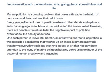 Seeing Beyond Litter: The Art Of Steve McPherson