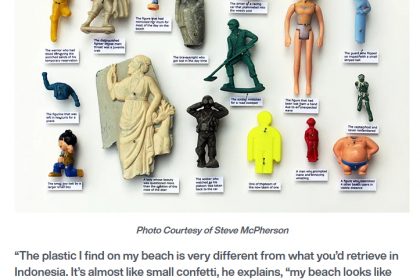 Seeing Beyond Litter: The Art Of Steve McPherson